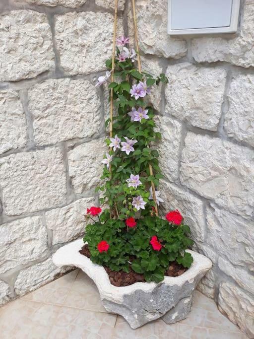 Villa Sweet Home Mokošica المظهر الخارجي الصورة